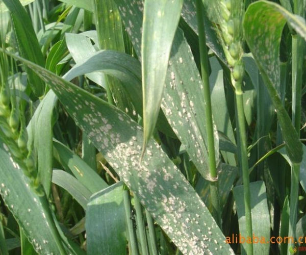  ����ݺ� forum