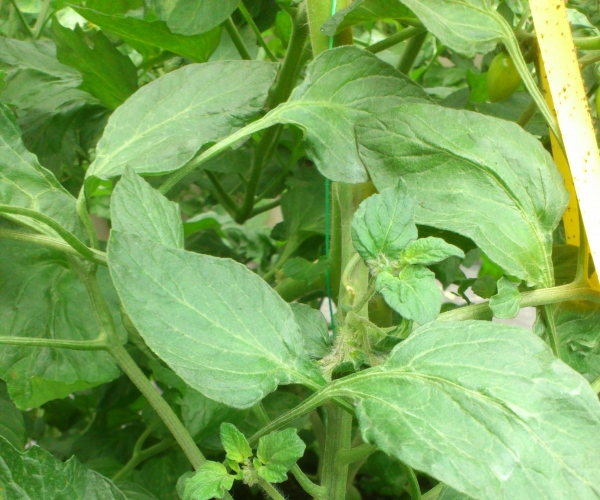  �߲�ר�� forum