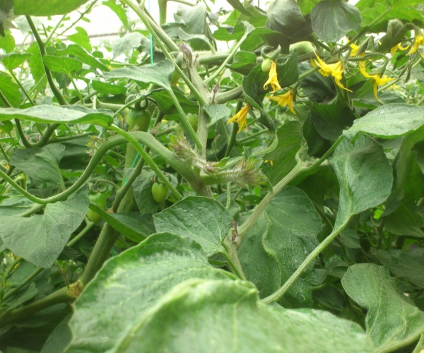  �߲�ר�� forum