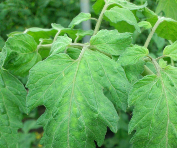  �߲�ר�� forum