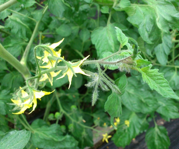  �߲�ר�� forum