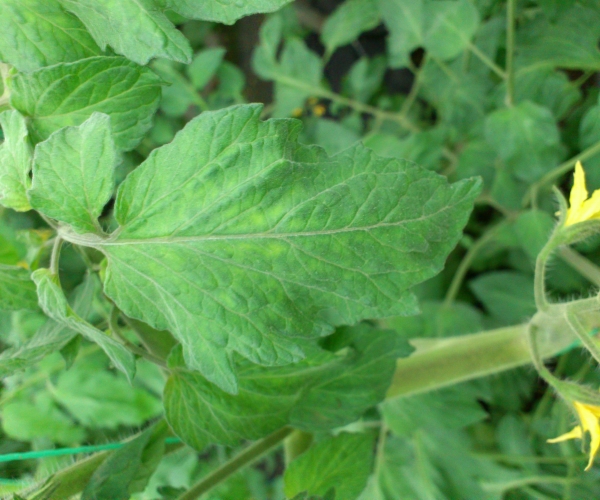  �߲�ר�� forum