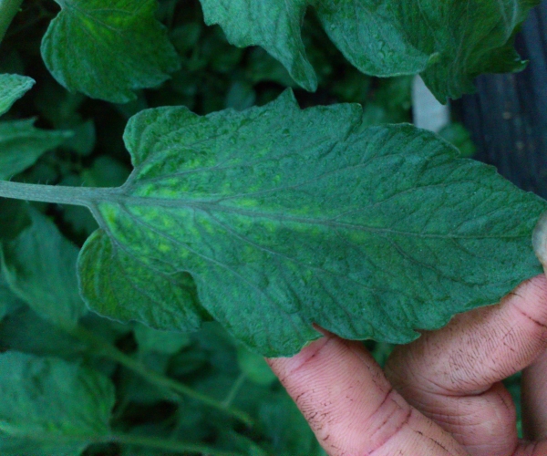  �߲�ר�� forum