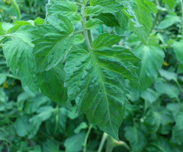  �߲�ר�� forum