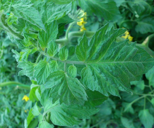  �߲�ר�� forum