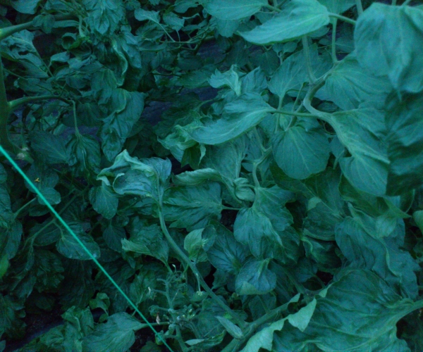  �߲�ר�� forum