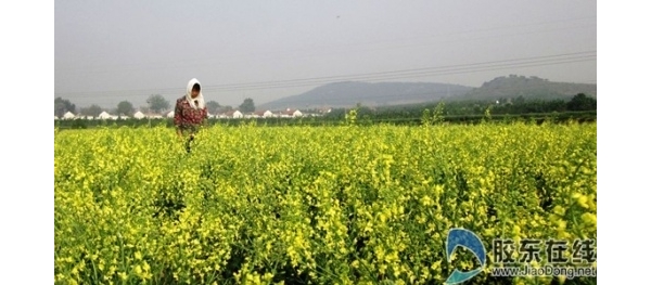  ��ũ��ע forum