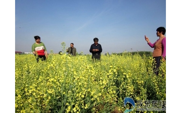  ��ũ��ע forum