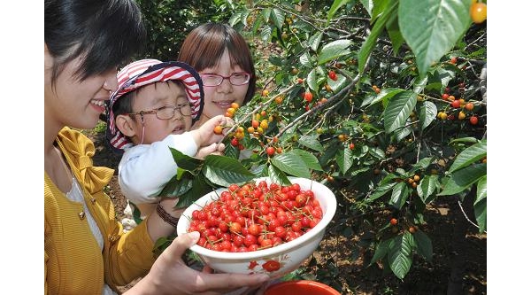  ũҵ���� forum