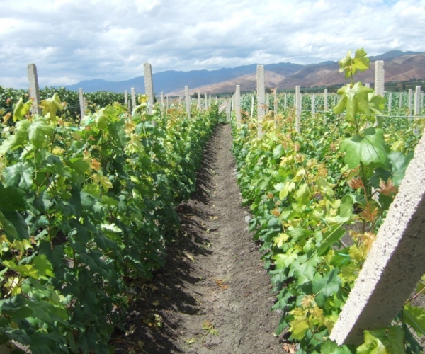  ȱ�ط��� 090905oozvuaolqlbtolts