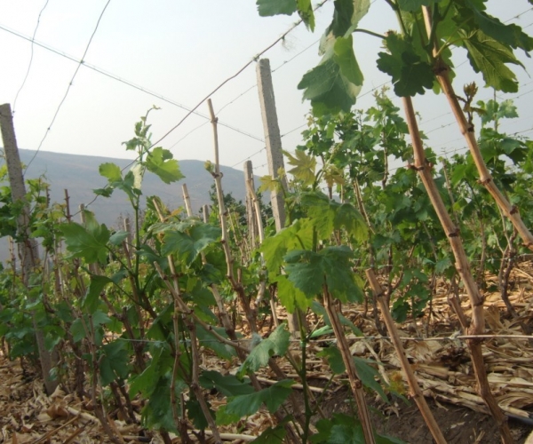  ˮʹ 100158drxdghhtf8g8si2b