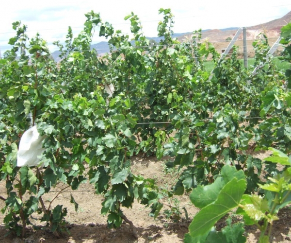  ˮ�ʹ��� 100229vgf3qzo9fqg3qavg