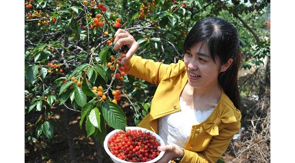  ũҵ���� forum