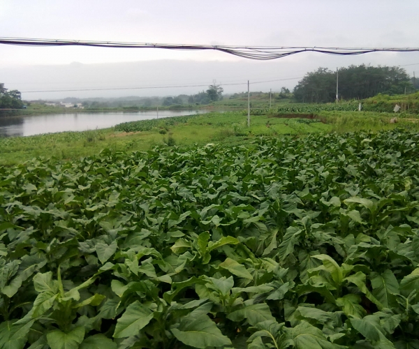  ũ����Ϣ forum