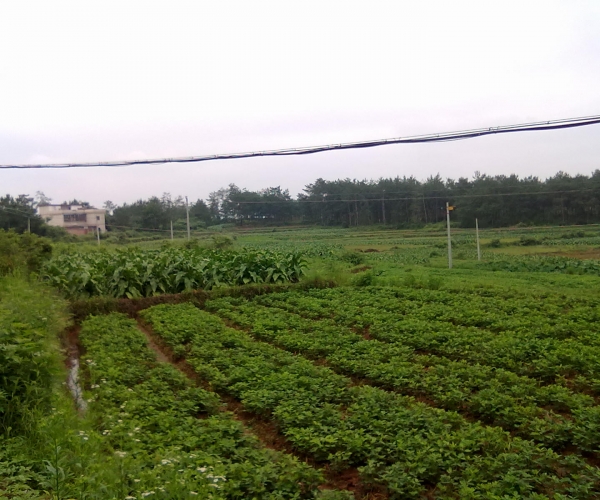  ũ����Ϣ forum