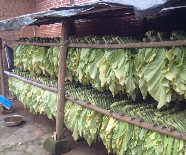  ũ����Ϣ forum