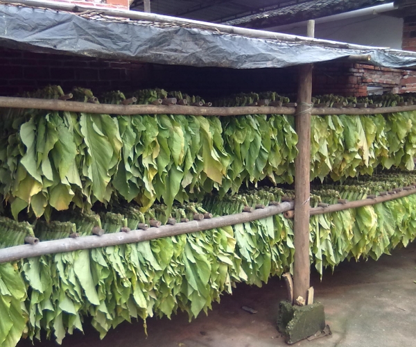  ũ����Ϣ forum