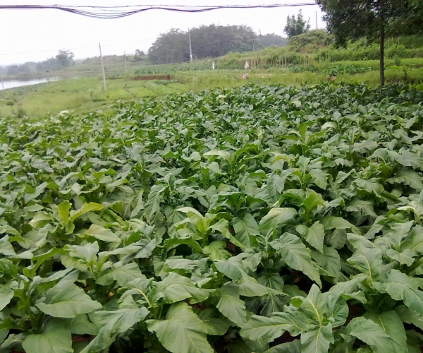  ũ����Ϣ forum