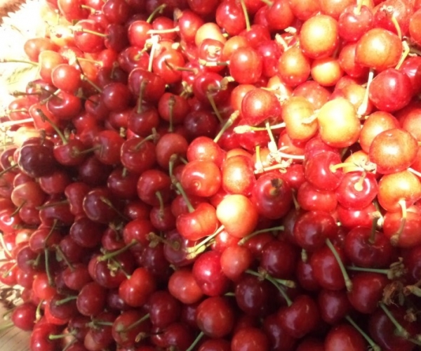  ũҵ¿�� 234322jpuv4vwvjpzljf6m