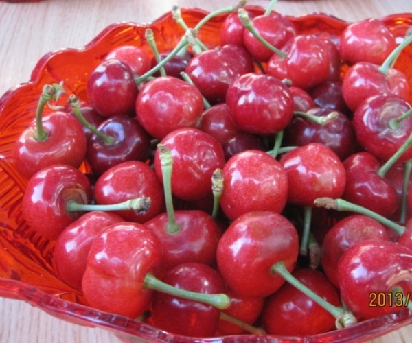  ũҵ¿�� 23432562e6wyjgzhudptey