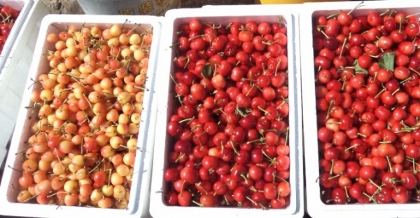  ũҵ¿�� 2345548igz6wcir6cj8867