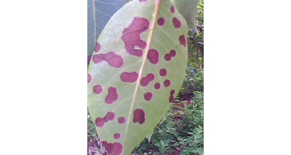  ����ݺ� forum