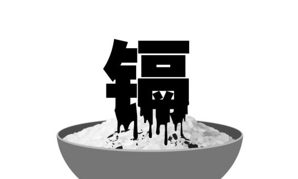  ��ũ��ע forum