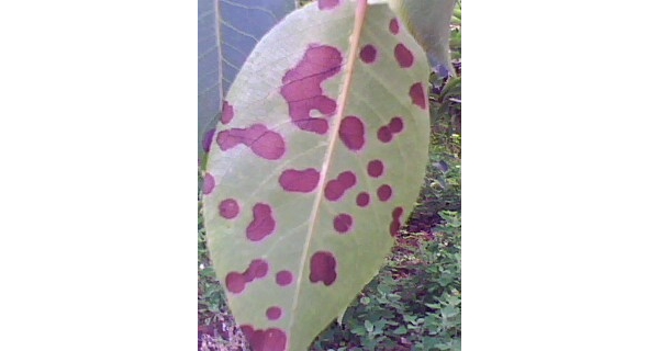  ����ݺ� forum