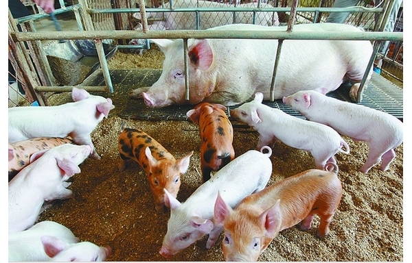  ������ֳ forum