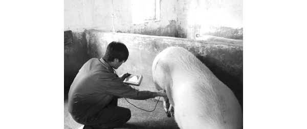  ������ֳ forum