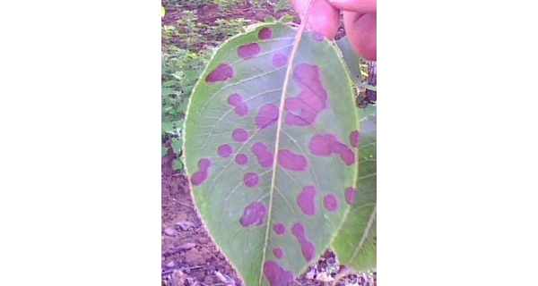  ����ݺ� forum