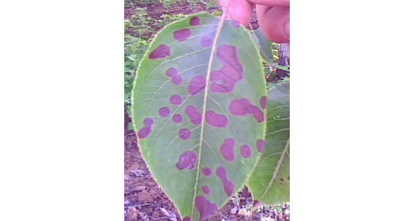  ����ݺ� forum