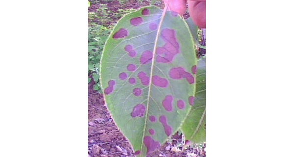  ����ݺ� forum