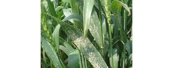  ����ݺ� forum