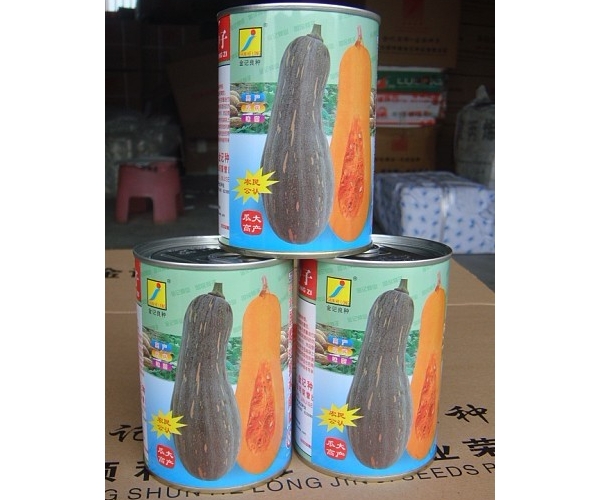  ũϢ 153004jptjajme51mfd1em