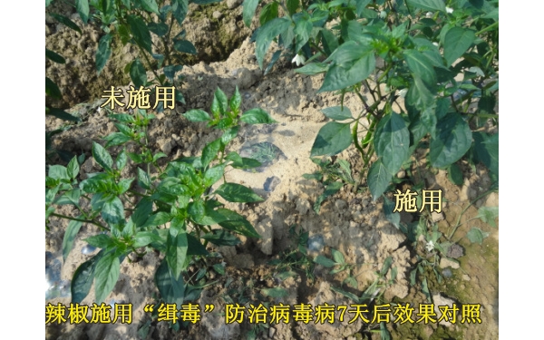  ũ��Ӫ�� forum