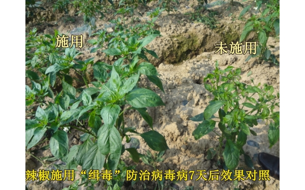  ũ��Ӫ�� forum