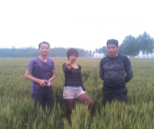  ũҵ������ 202745f10n1n8ed1u1zef1