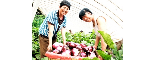  ��ũ��ע forum