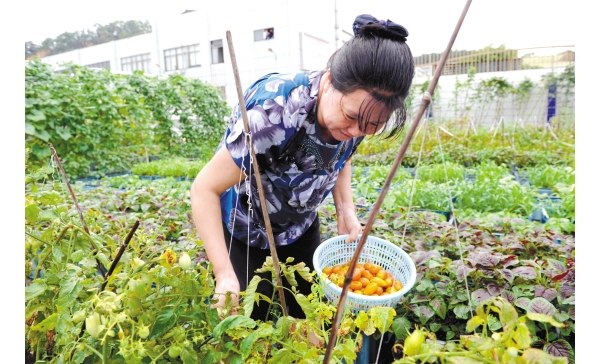  ��ũ��ע forum