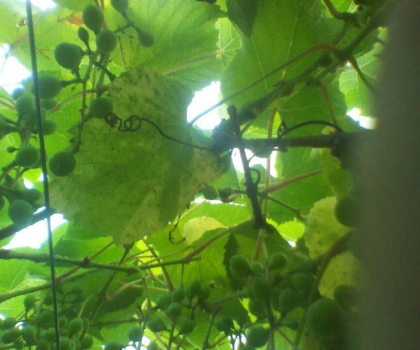  ˮ��ר�� forum