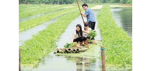  ��ũ��ע forum