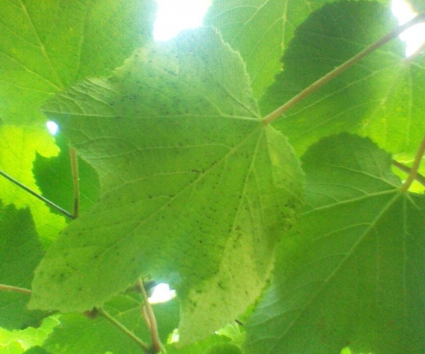  ˮ��ר�� forum