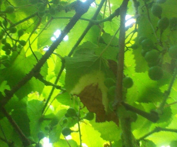  ˮ��ר�� forum