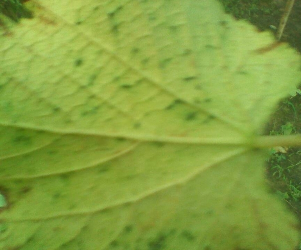  ˮ��ר�� forum