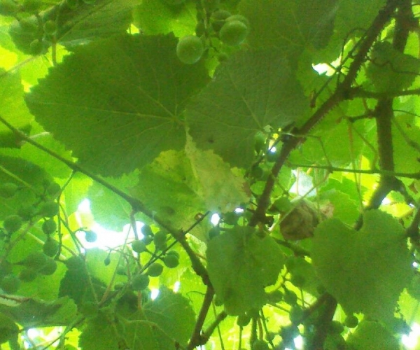  ˮ��ר�� forum