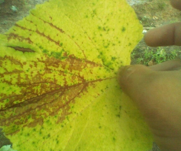  ˮ��ר�� forum