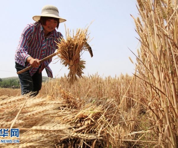  ��ũ��ע forum