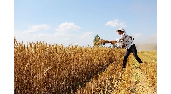  ��ũ��ע forum