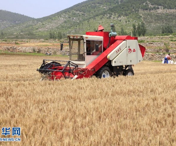  ��ũ��ע forum